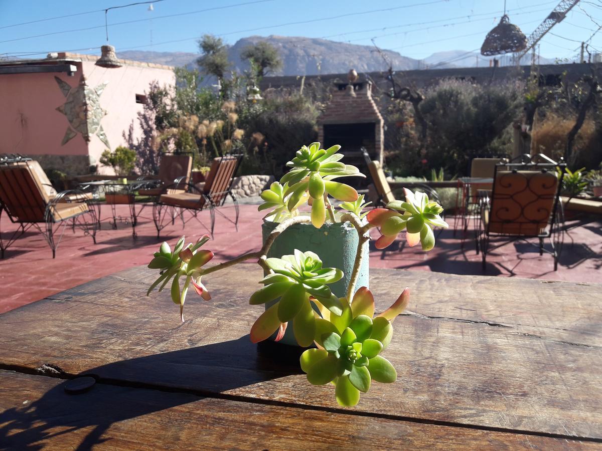 Auberge de jeunesse Hostal Rustyk à Cafayate Extérieur photo